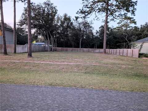 1449 W Pringle Place, Citrus Springs, FL 34434