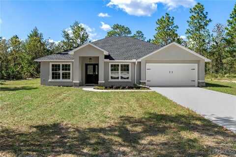 14285 Celeron Court, Weeki Wachee, FL 34614