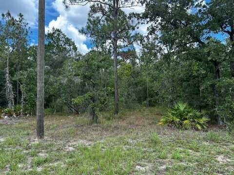 5615 W Oak Park Boulevard, Homosassa, FL 34446