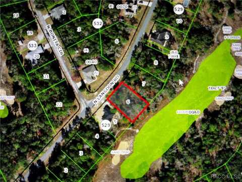 9609 N Langdon Road, Citrus Springs, FL 34434