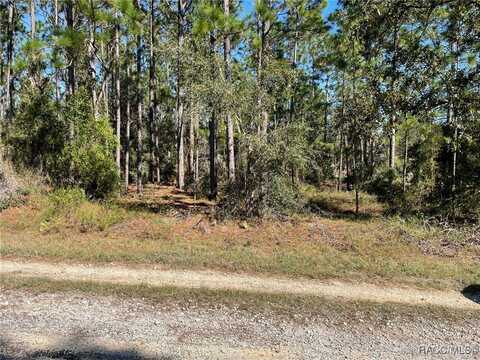 Lots 16 & 17 SE 130 Court, Dunnellon, FL 34431