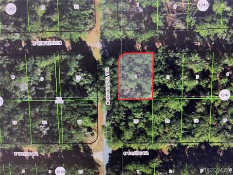 970 E Vercelli Lane, Citrus Springs, FL 34434