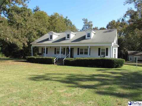 1122 Olanta Highway, Effingham, SC 29541