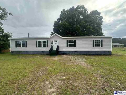 2664 Penderboro Rd, Marion, SC 29571