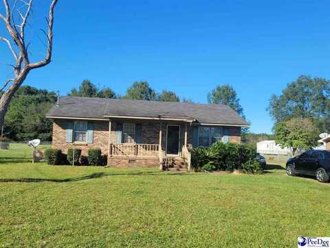 328 E Billy Farrow Hwy, Darlington, SC 29532