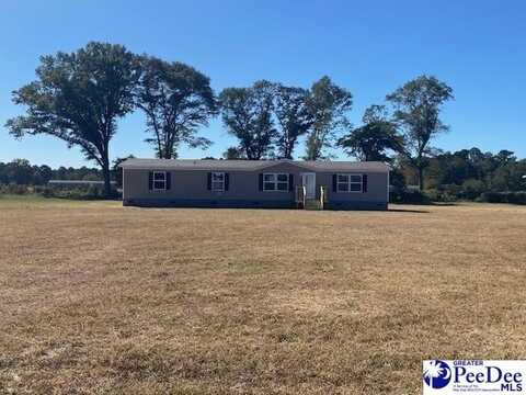 2406 Nature Dr, Latta, SC 29565