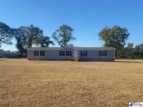 2412 Nature Dr, Latta, SC 29565