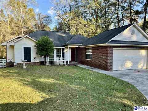 1143 McDowell St, Manning, SC 29102