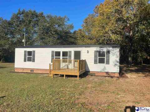 3109 Garden Rd, Wallace, SC 29596