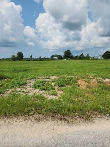 Lot 2 Harmony St, Wewahitchka, FL 32465