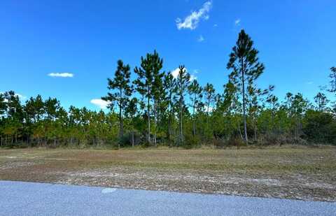 Lot 17 Wide Water Cir, Wewahitchka, FL 32465