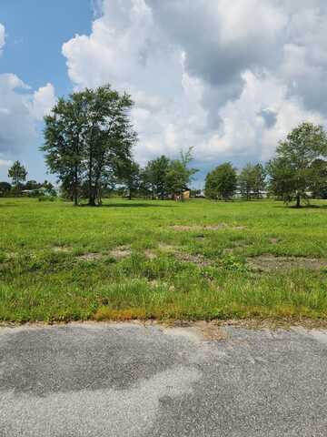 Lot 7 Harmony St, Wewahitchka, FL 32465
