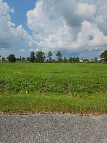 Lot 6 Harmony St, Wewahitchka, FL 32465
