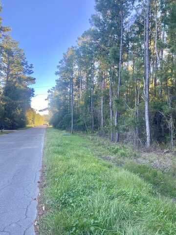 689 Bryant Landing Rd, Wewahitchka, FL 32465