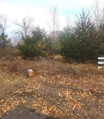 Lot 1 W Leonard Street, Chetek, WI 54728