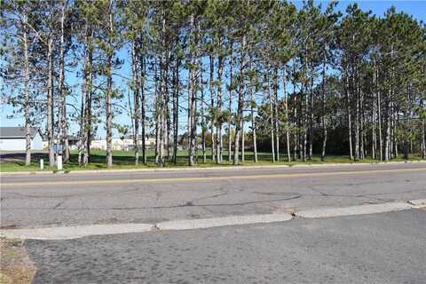 W South Street lot: 3, Rice Lake, WI 54868