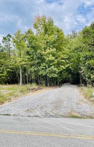 Lot 1 Sneed (Lot 1) Road, Decatur, TN 37322