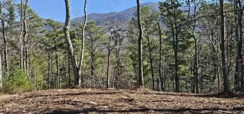220 Lower Smithfield Road, Tellico Plains, TN 37385