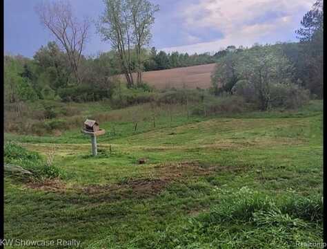 VL LASHBROOK and Parks Road, Goodells, MI 48027