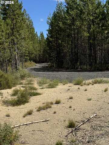 Bunny Butte, Crescent Lake, OR 97733