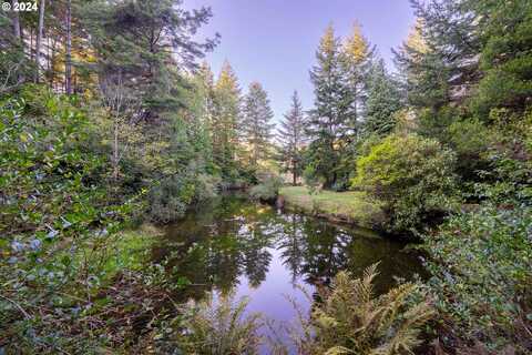 Trout Pond TL206 LN, Bandon, OR 97411