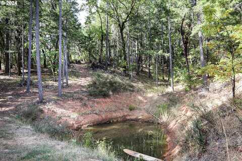 QUARTZ CREEK RD, Merlin, OR 97532