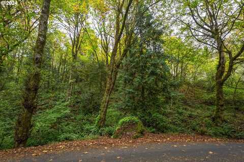 Niemi RD, Longview, WA 98632