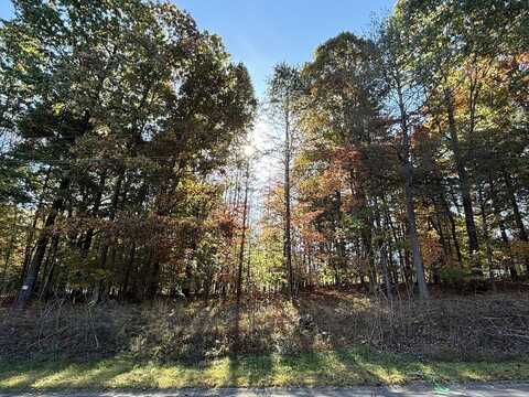 Lot 4 Greenview DR, Rocky Mount, VA 24151