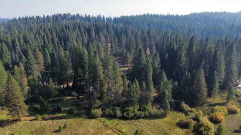 Spring Meadows Road, McCloud, CA 96057