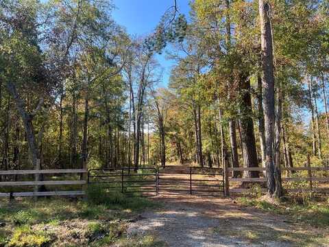 0 Independent School Rd, Reevesville, SC 29471