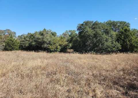 TBD Brown Road, Flatonia, TX 78941