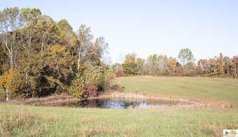 7.5AC Gabehart Road, Knifley, KY 42753