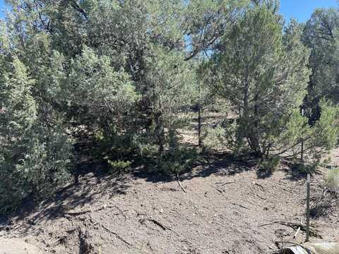 Tbd Blk 11, Lot 6, Los Ojos, NM 87575