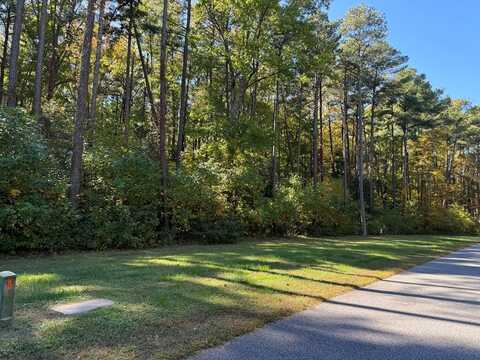 Lot 95 COVENTON LANE, HORNTOWN, VA 23395