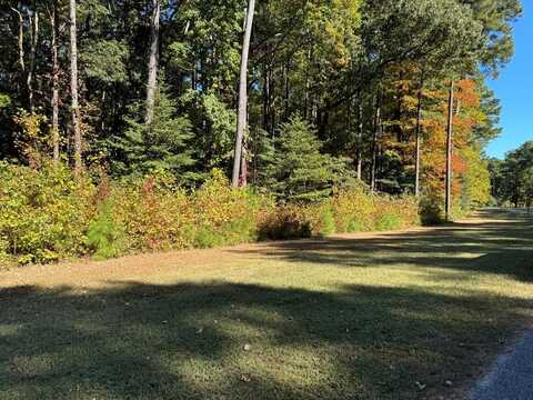 Lot 125 COVENTON LANE, HORNTOWN, VA 23395