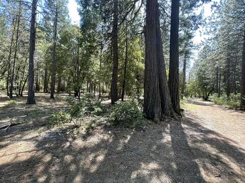 Inwood Road, Shingletown, CA 96088