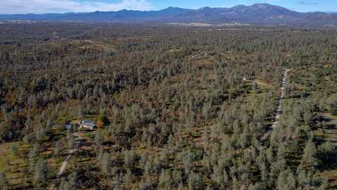 40 Acres Heavenly Valley Lane, Anderson, CA 96007