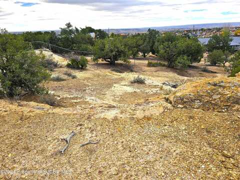 Xx ESCALANTE Trail, Farmington, NM 87402