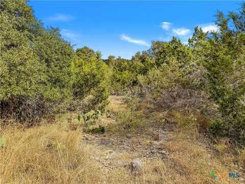 1447 Carson Creek, Canyon Lake, TX 78133