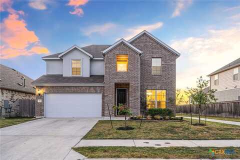 352 Cherrystone Loop, Buda, TX 78610