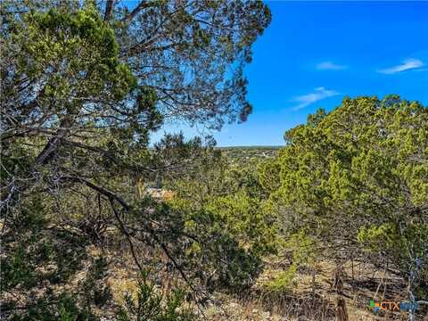 2900 Rocky Ridge Loop, Canyon Lake, TX 78133