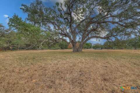 27215 Park Loop Road, New Braunfels, TX 78132