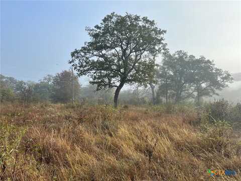 132 Triangle Acres Lane, Cedar Creek, TX 78612