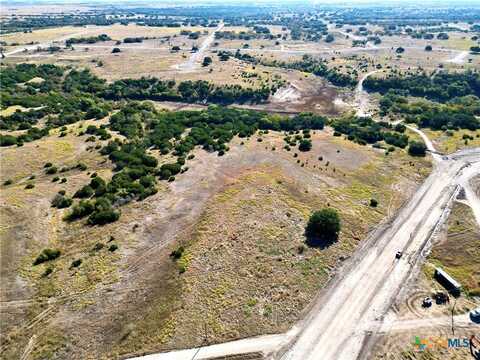 198 Big Bend Drive, Oglesby, TX 76561