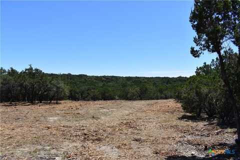 24369 Round Mountain Road, Leander, TX 78641