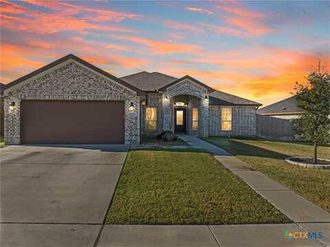 6102 Cactus Flower Lane, Killeen, TX 76549