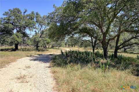 726 Windmill Ridge Drive, Blanco, TX 78606