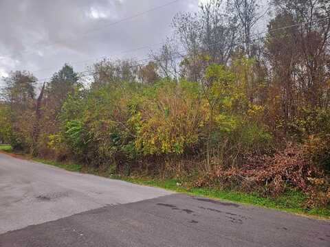 Tbd Deer Ridge Trail (#2), Tazewell, VA 24651