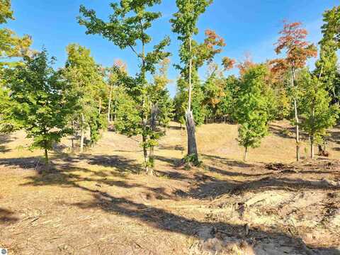 8550 Sunflower Peak, Williamsburg, MI 49690