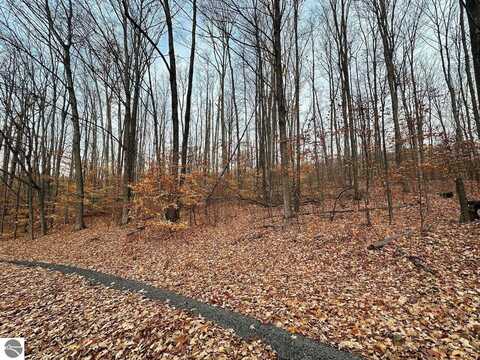 Lot 23 Schutzen Lane, Bellaire, MI 49615